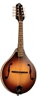 The Loar LM-290-MS Contemporary A-Style Mandolin