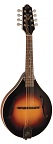 The Loar LM-175-VSM Grassroots A-Style Mandolin