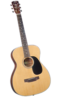 Blueridge BR-42 Contemporary Series Acoustic 12-fret 000 Guitar - Bluegrass Instruments