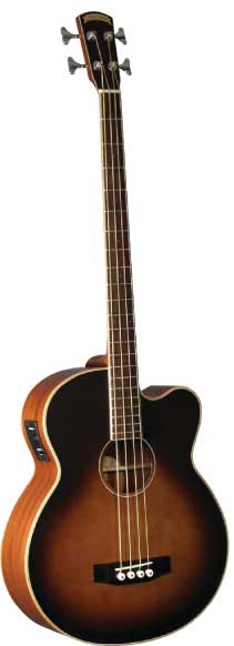 Morgan Monroe Creekside Acoustic Bass Guitar