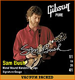 Gibson Sam Bush Mandolin Strings