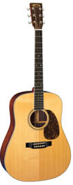 Martin D-16RGT Rosewood Gloss Top Guitar