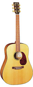 Martin SWDGT Certified Wood Guitar