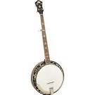 Recording King RK-R35 Madison Resonator Banjo