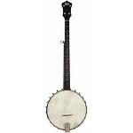 Recording King RK- OT25 Madison Old-Time Open Back Banjo