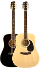 Savannah SGD-12 Dreadnought Guitar