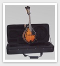 Savannah SF-100-SN F Model Mandolin