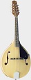 Savannah SA-120 Louisville A-Style Mandolin