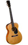 Accent CS-2 Acoustic Folk Guitar - Bluegrass Instruments