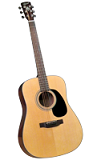 Bristol BD-16 Dreadnaught Acoustic Guitar - Bluegrass Instruments