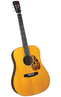 Blueridge BR-5060 John Jorgenson Desert Rose Dreadnaught Guitar - Bluegrass Instruments