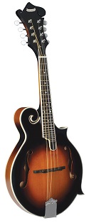 Morgan Monroe MM-100FM F-Style Mandolin