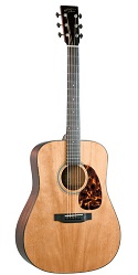 Recording King RD-T16 Torrefied Adirondack Spruce Top Dreadnought