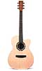 Martin Ellipse XC1T Guitar - Bluegrass Instruments