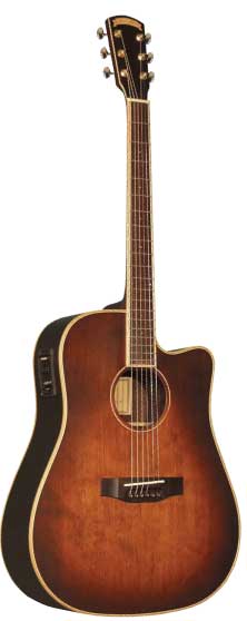 Morgan Monroe Creekside Acoustic/Electric