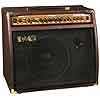 RMS Acoustic Guitar Amp