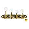 Golden Gate F-Model Gold Mandolin Tuners