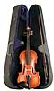 Palatino Anziano Violin Outfit - Bluegrass Instruments