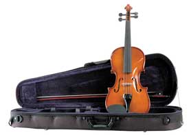 Palatino Allegro Violin Outfit