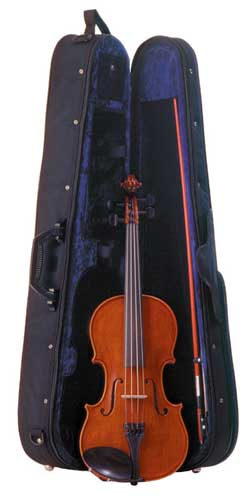 Palatino Dolce Violin Outfit
