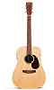 Martin DX1E Guitar - Bluegrass Instruments