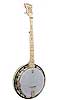 Deering Goodtime Special - Bluegrass Instruments