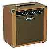 RMS TRANZAMP Acoustic Guitar Amp