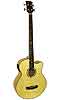 Gold Tone Acoustic Bass Guitar - Bluegrass Instruments