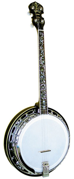 Gold Tone TS-250AT Arch Top Tenor Banjo