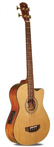 Indiana Scout Acoustic Bass Guitar