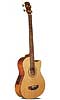 Indiana Scout Acoustic Bass Guitar - Bluegrass Instruments