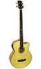 Gold Tone Acoustic Bass Guitar
