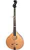 Gold Tone Banjola