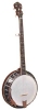 Gold Tone BG-250 Banjo