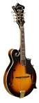 Gold Tone GM-70+ Mandolin