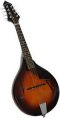 Gold Tone Rigel GM-A+ Mandolin