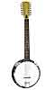 Gold Tone GT-1200 12 String Banjitar with Pickup