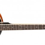 Oscar Schmidt OB4 Banjo