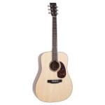 RD-G6 Recording King Solid Top Dreadnought