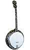 Gold Tone TS-250AT Arch Top Tenor Banjo