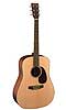 Martin DM Dreadnought Guitar - Bluegrass Instruments