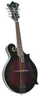 Rover RM-75 Mandolin