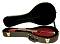 Superior Hardshell A-Mandolin Case - Bluegrass Cases & Gig Bags