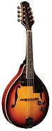 Morgan Monroe RT-M1E Mandolin